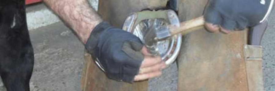 Mercato dell'antiquariato e delle carinerie 2015